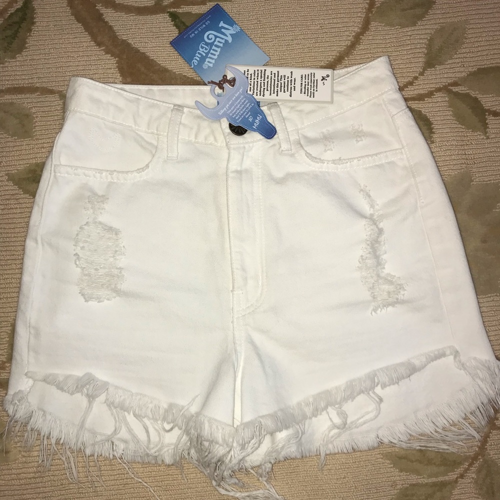 Show Me Your Mumu high waisted shorts